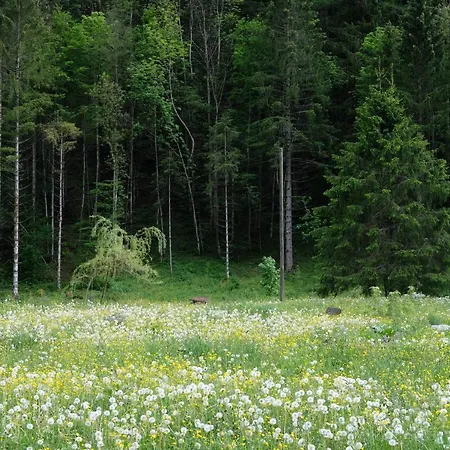 Riversong Centre Thermal 2*