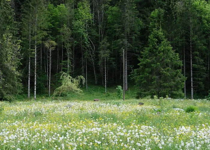 Riversong Centre Thermal 2*