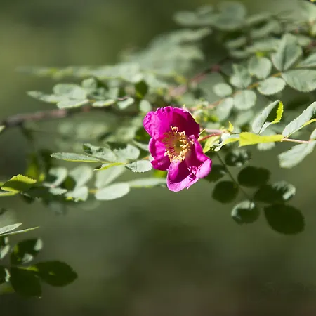 Ξενοδοχείο Riversong Centre Thermal