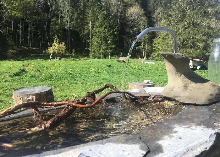 호텔 Riversong Centre Thermal 2*