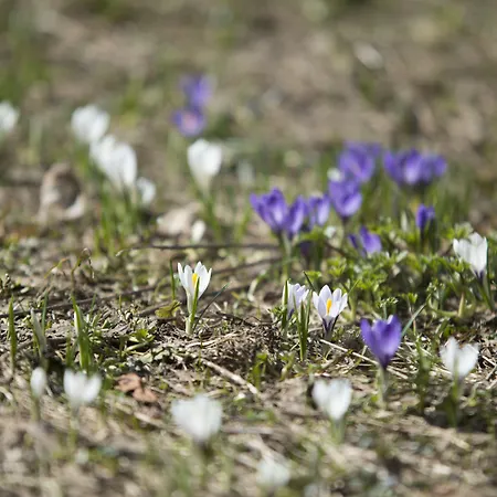 Hotel Riversong Centre Thermal 2*