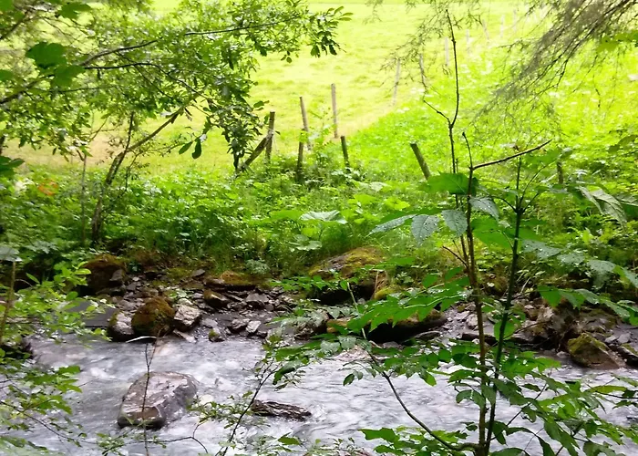 Hotell Riversong Centre Thermal Les Plans-sur-Bex