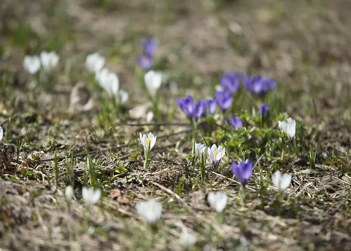 Hotell Riversong Centre Thermal 2*